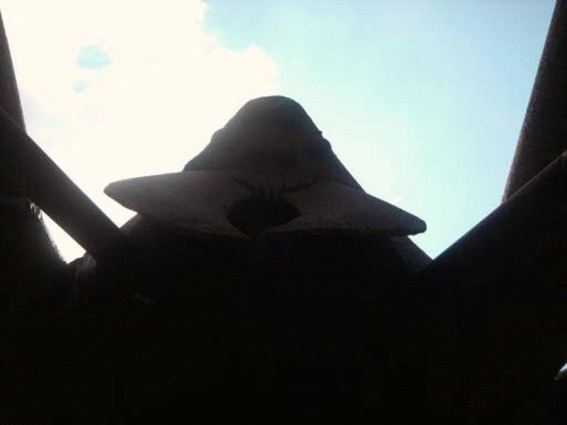 View from under the spider