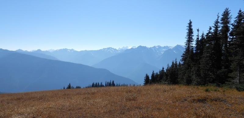 View of Olympic mountains from Hurricane Ridge