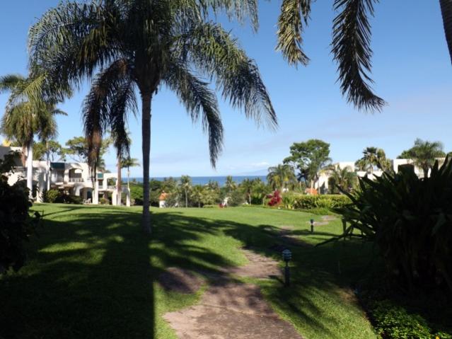 Wailea Palms--Maui