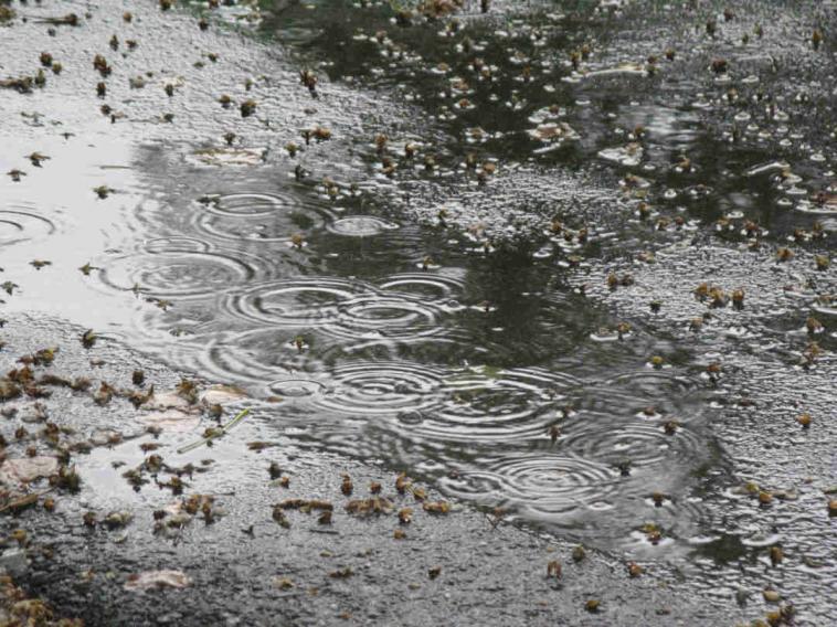 Waiting for the rain to stop near Kansas City. It never did and I headed out in the rain...Got SOAKED.