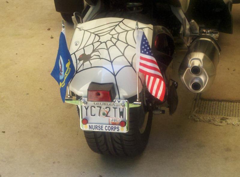 Web and Spider for the back