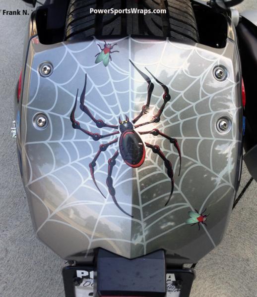 Web  Spider Fly 1 RS