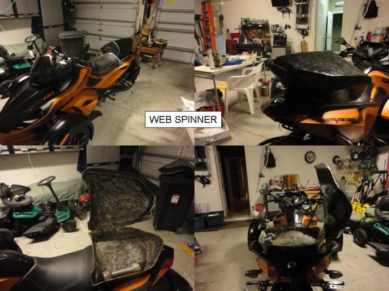 Web Spinner Design Presentation Image