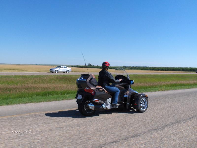 What a beartiful day for a ride