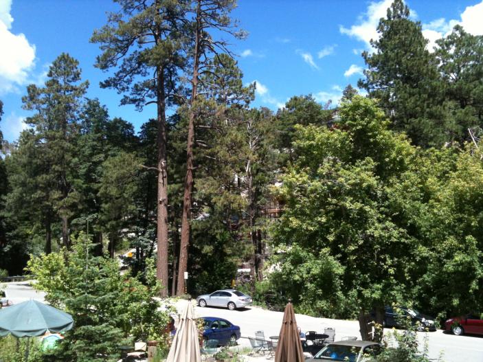 What a way to spend lunch when it was 105 degrees in Tucson and 78 degrees up on the mountain!