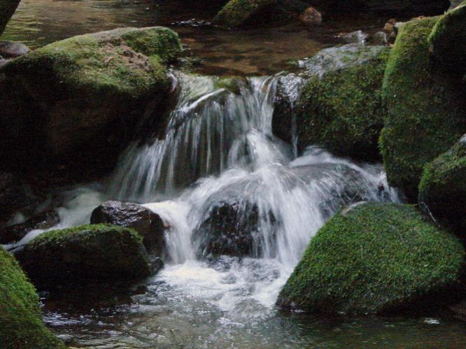 Whitewater in mountainside stream