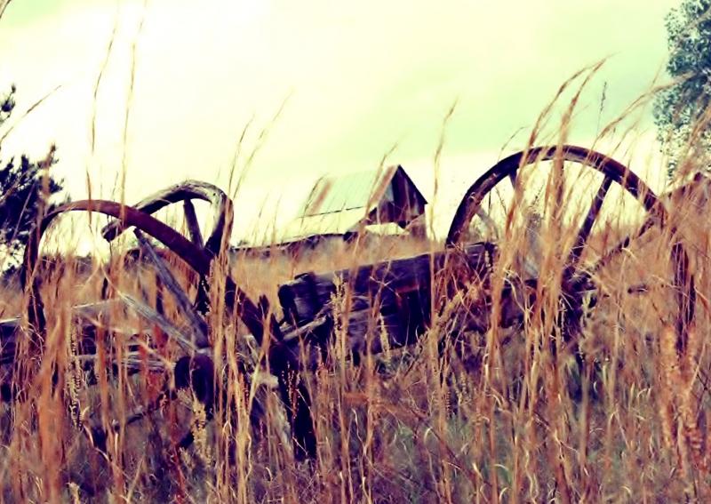 wilson0 R2 E009[1] The wagon and farm I grew up on...Hancock County, Georgia....