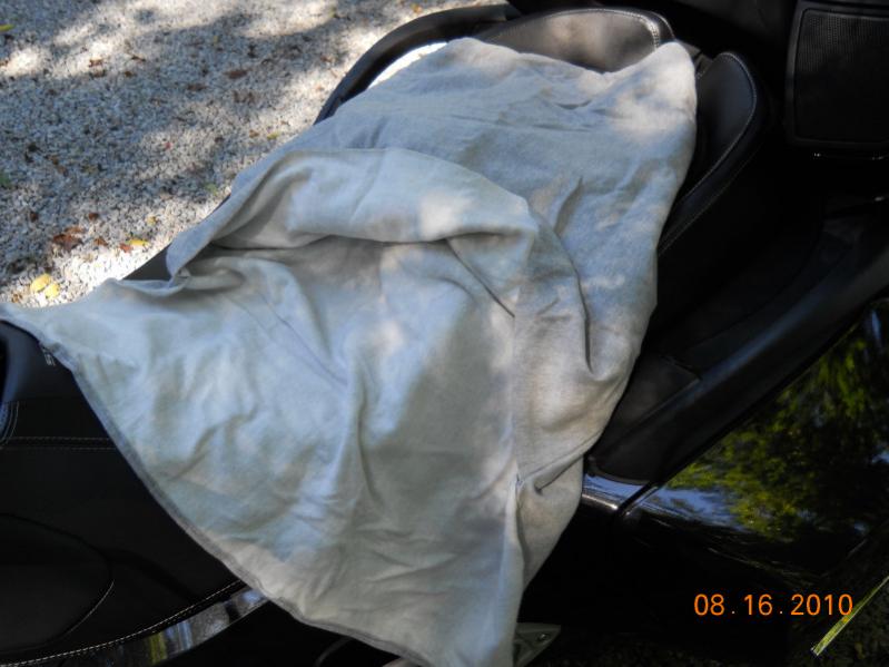 Winshield Proector Showing Longer Front