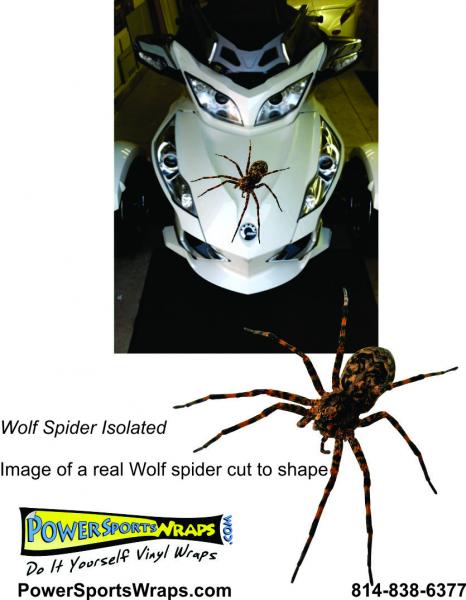 Wolf Spider Isolated cut out- This is an illustration to give you an idea of how this decal could be installed on a Spyder.  Contact us for details.