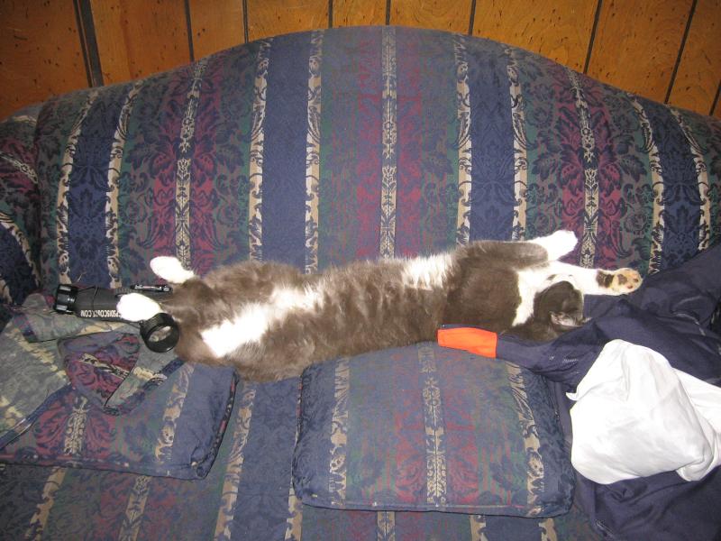 zzzzzzzzzzzzzzzzzzzzzzzzz